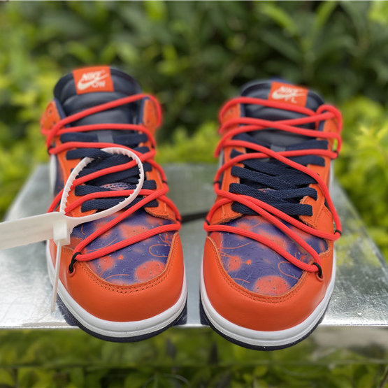 Nike SB Dunk Low Sneakers - DopestKickz