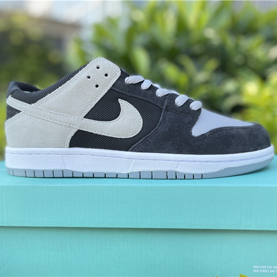 Nike SB Dunk Low PRO Sneakers 854866-001 - DopestKickz