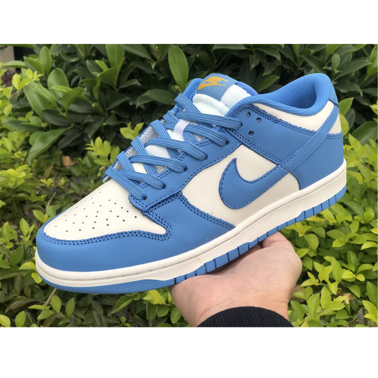 Nike Dunk Low Coast DD1503-100 - DopestKickz