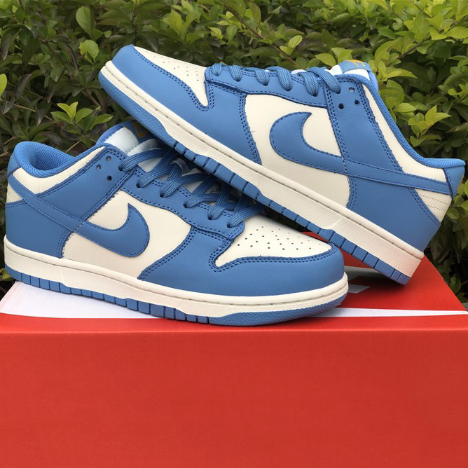 Nike Dunk Low Coast DD1503-100 - DopestKickz