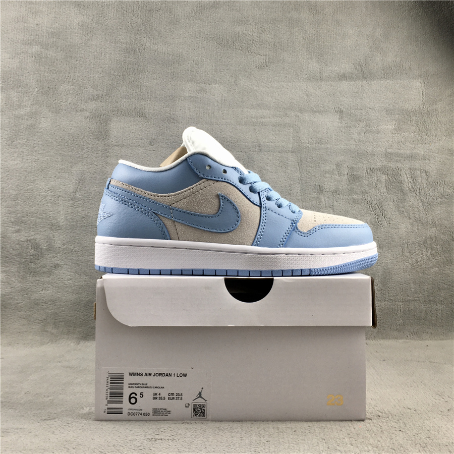 Nike Low Dunk Sneaker In Blue&White - DopestKickz