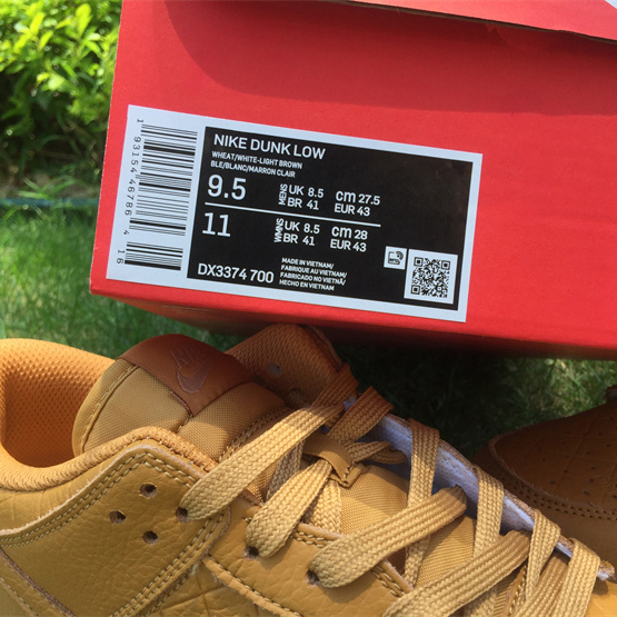 Nike SB Zoom Dunk Low Sneaker  DX3374-700 - DopestKickz