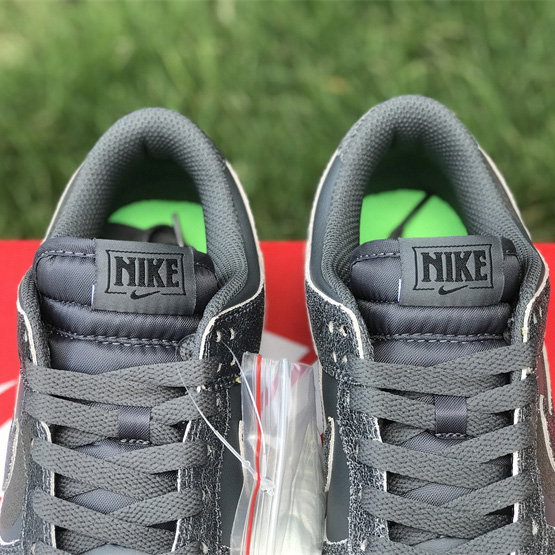 Nike Dunk Low “Iron Grey” Sneaker     DQ7681-001 - DopestKickz