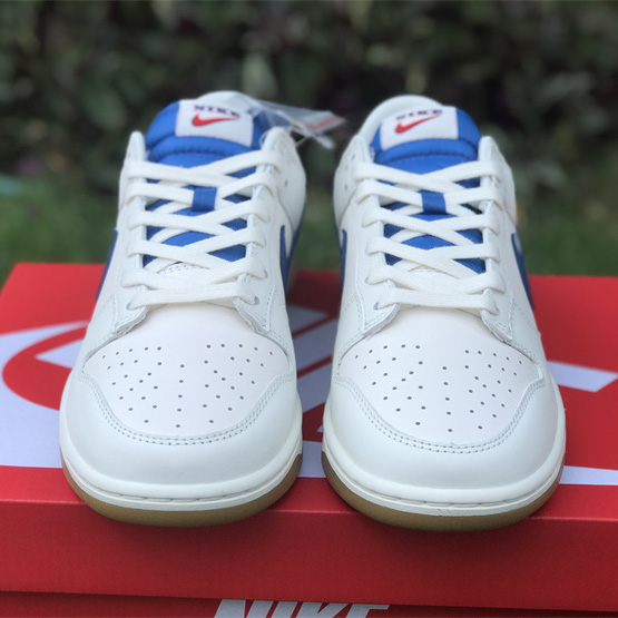 Nike Dunk Low Sneaker    DX3198-133  - DopestKickz