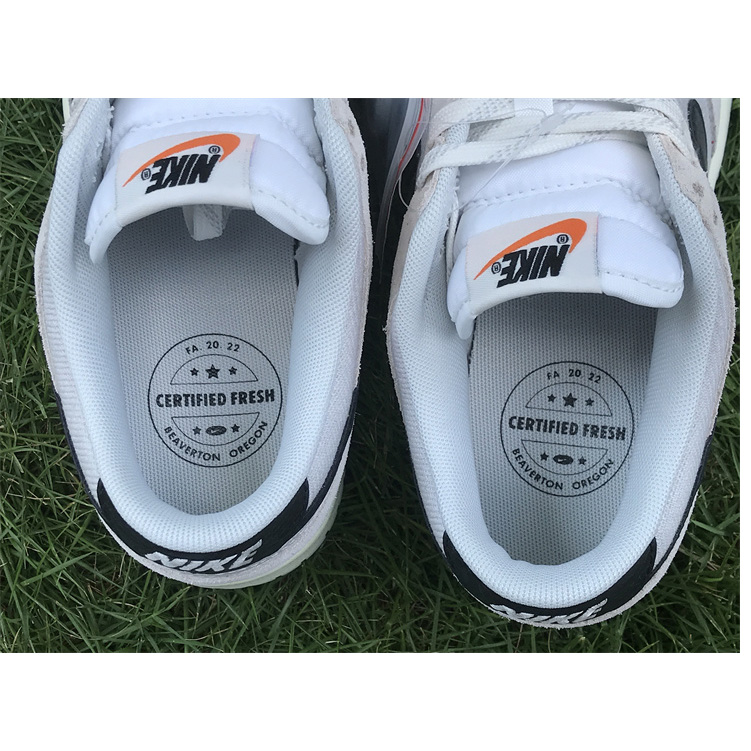Nike Dunk Low Retro SE''Certifled Fresh''Sneaker    DO9776-001 - DopestKickz