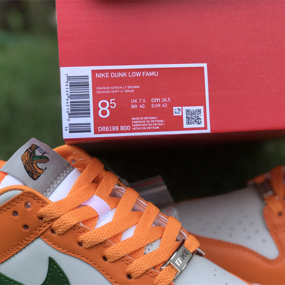 Nike SB Dunk Low 'Famu' Sneaker    DR6188-800 - DopestKickz