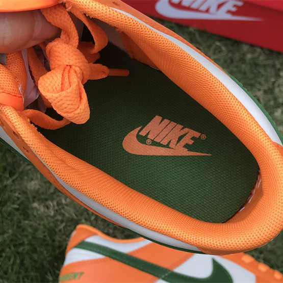 Nike SB Dunk Low 'Famu' Sneaker    DR6188-800 - DopestKickz