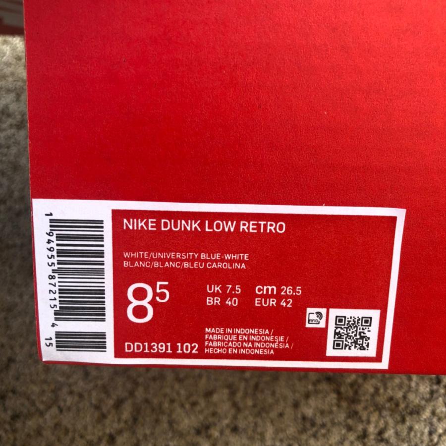 Nike Dunk Low Retro Sneaker      DD1391-102 - DopestKickz