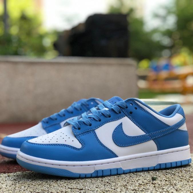 Nike Dunk Low Retro Sneaker      DD1391-102 - DopestKickz