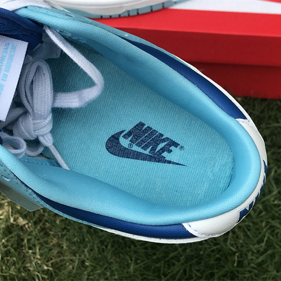 Nike Dunk Low “Argon” Sneaker      DM0121-400 - DopestKickz