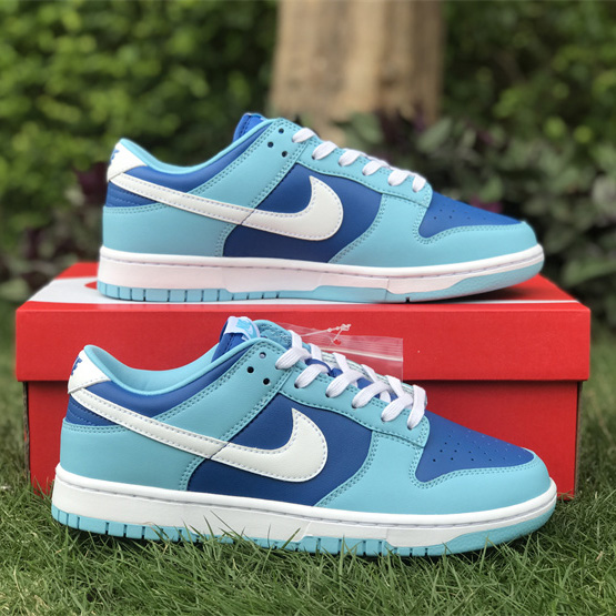 Nike Dunk Low “Argon” Sneaker      DM0121-400 - DopestKickz