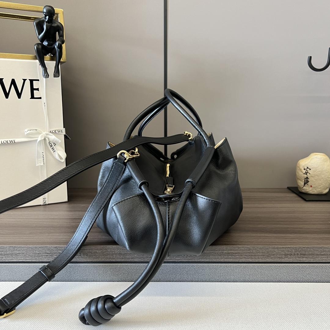 Loewe Paseo Bag In Shiny Nappa Calfskin - DopestKickz