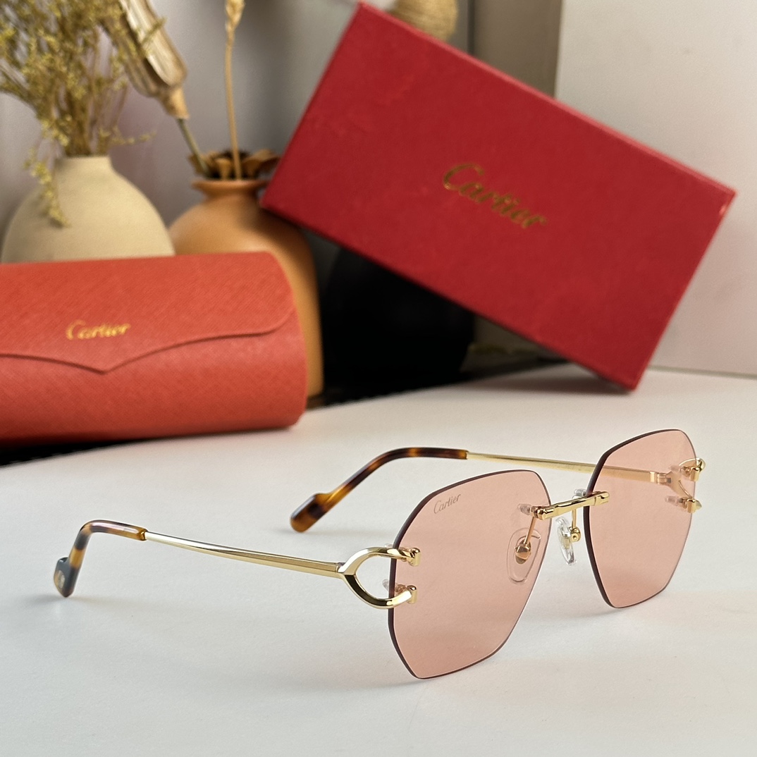 Cartier Sunglasses      CT0386S - DopestKickz