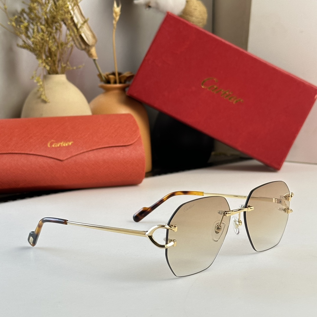 Cartier Sunglasses      CT0386S - DopestKickz