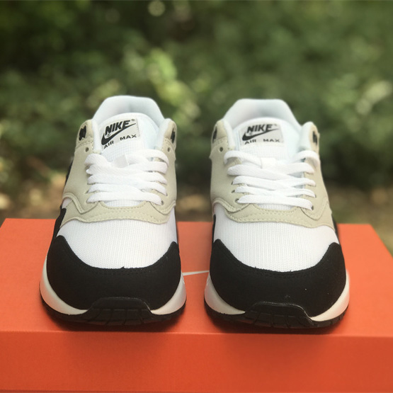 Nike Air Max 1 Sneakers     DV1403-110  - DopestKickz