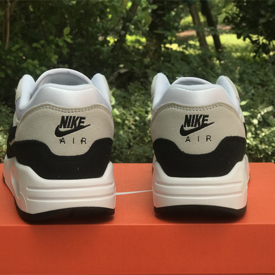 Nike Air Max 1 Sneakers     DV1403-110  - DopestKickz