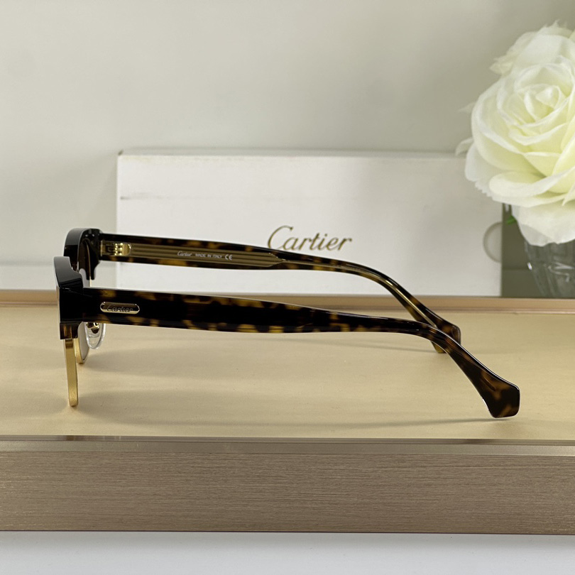 Cartier D-Frame Tortoiseshell Acetate Sunglasses   CT0366 - DopestKickz