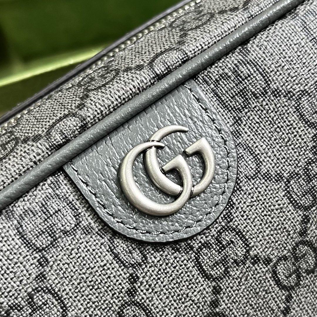 Gucci Ophidia GG Toiletry Case (14.5x 23.5x 6.5cm) - DopestKickz