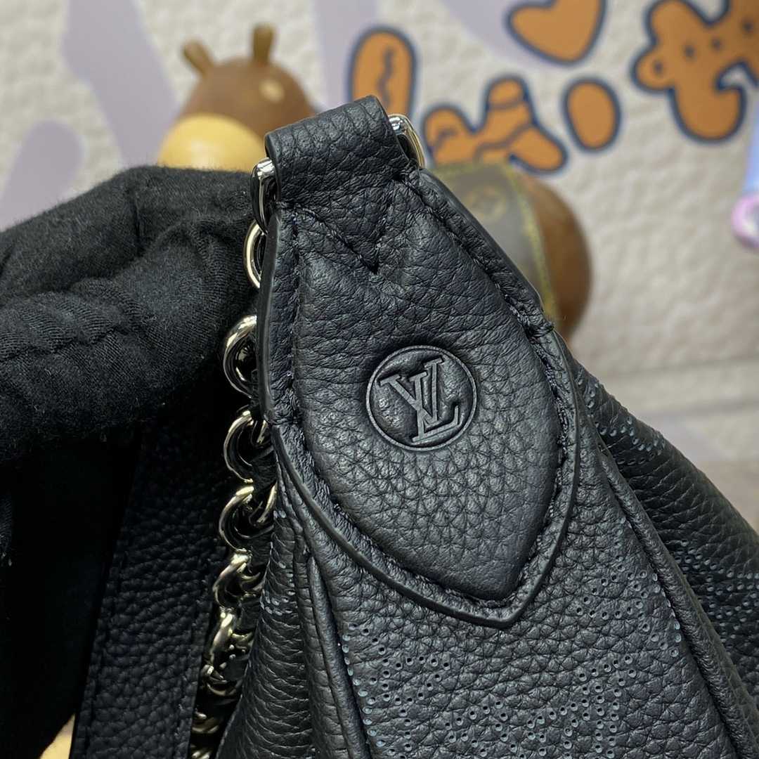 Louis Vuitton Baia PM (26 *17 *7.5cm)    M22819 - DopestKickz