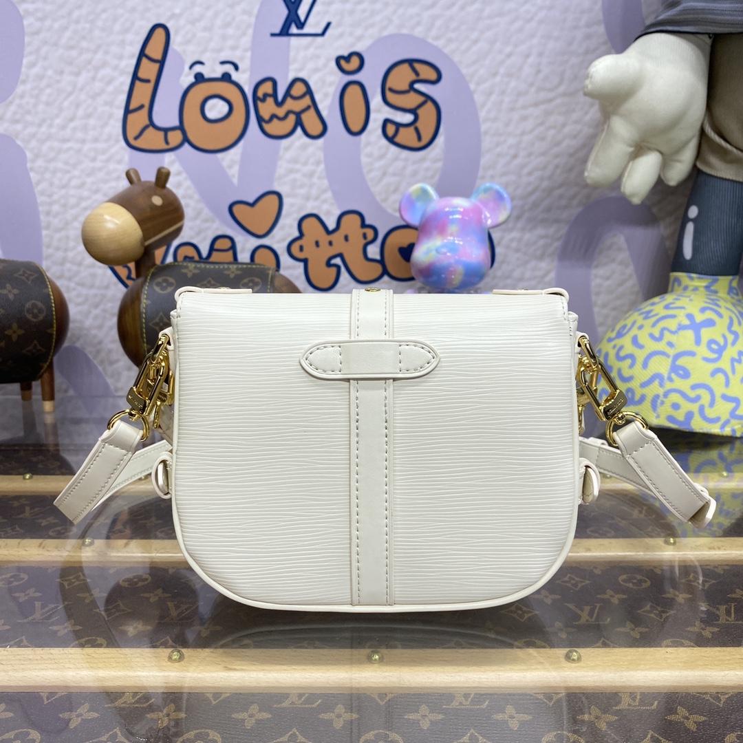 Louis Vuitton Saumur BB  (20-16-7.5CM)   M23746 - DopestKickz