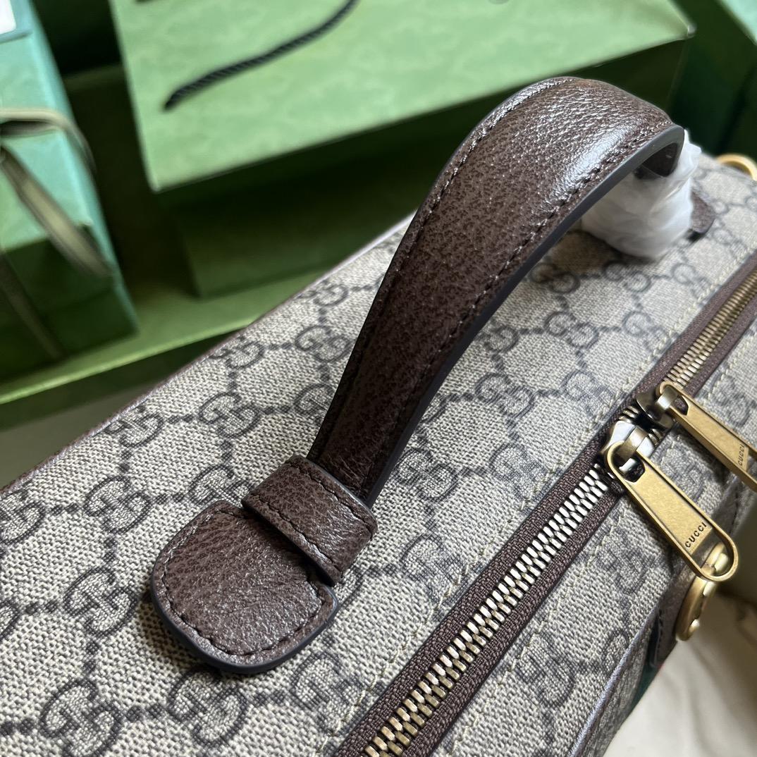 Gucci Savoy Shoe Case  (22x 36x 16cm) - DopestKickz