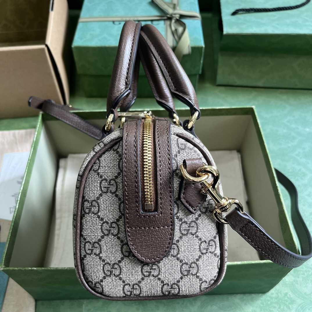Gucci Ophidia GG Mini Top Handle Bag - DopestKickz