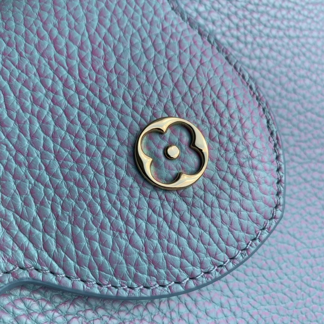 Louis Vuitton Capucines BB (27×18×9cm) - DopestKickz