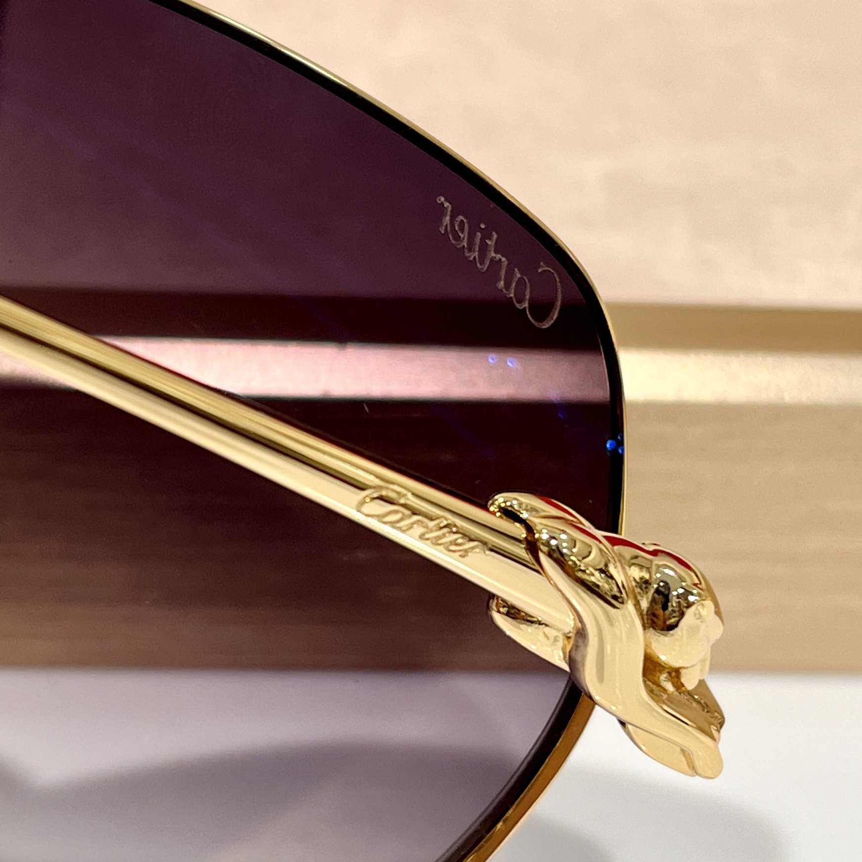 Cartier Geometric Frame Sunglasses     CT0267 - DopestKickz