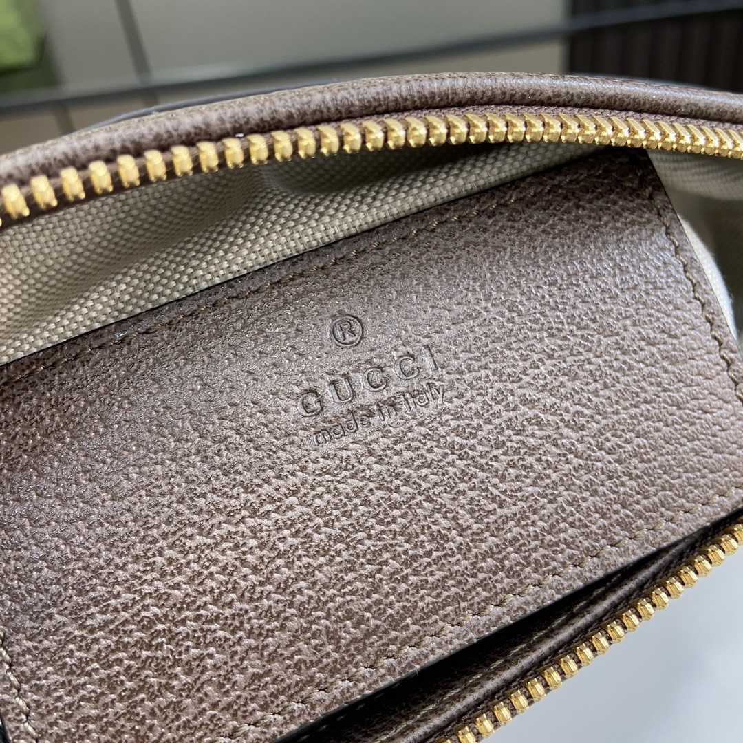 Gucci Ophidia GG Mini Shoulder Bag  - DopestKickz