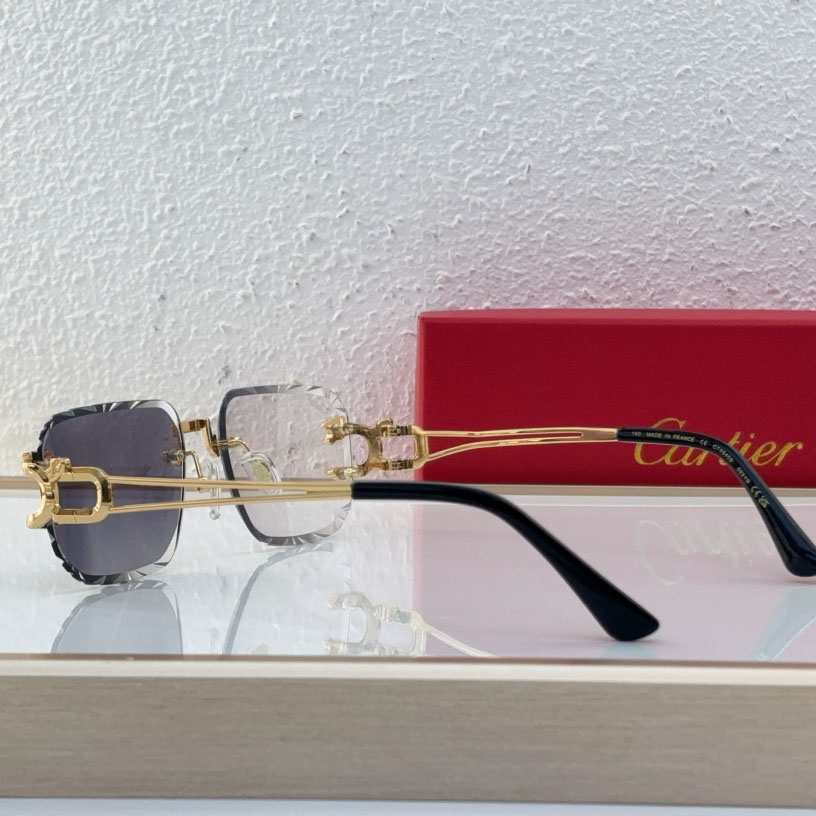 Cartier CT0540S Sunglasses - DopestKickz