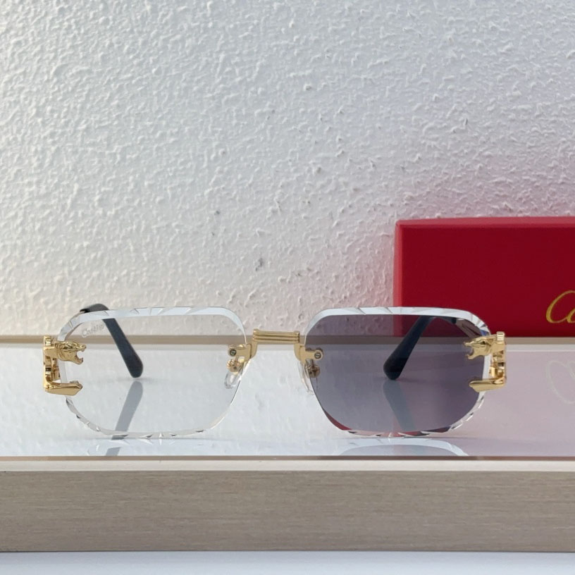 Cartier CT0540S Sunglasses - DopestKickz