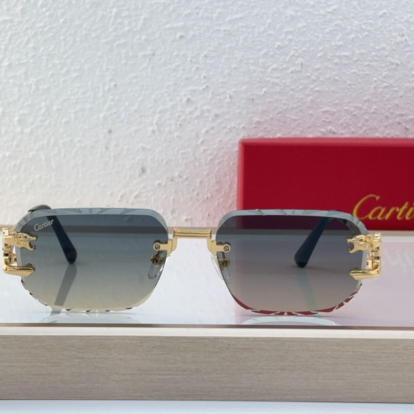 Cartier CT0540S Sunglasses - DopestKickz