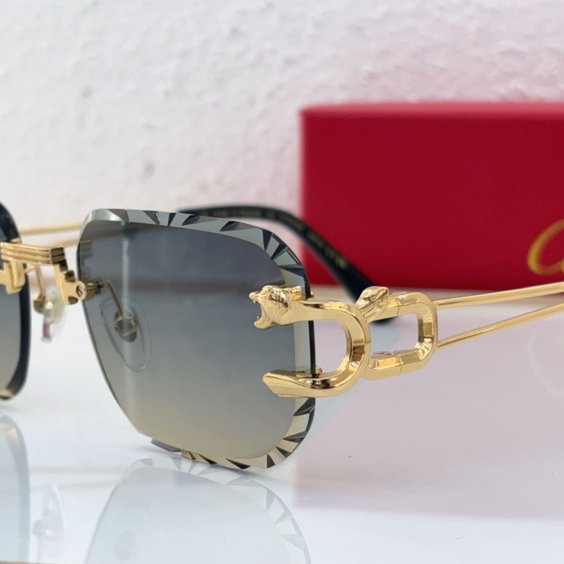 Cartier CT0540S Sunglasses - DopestKickz