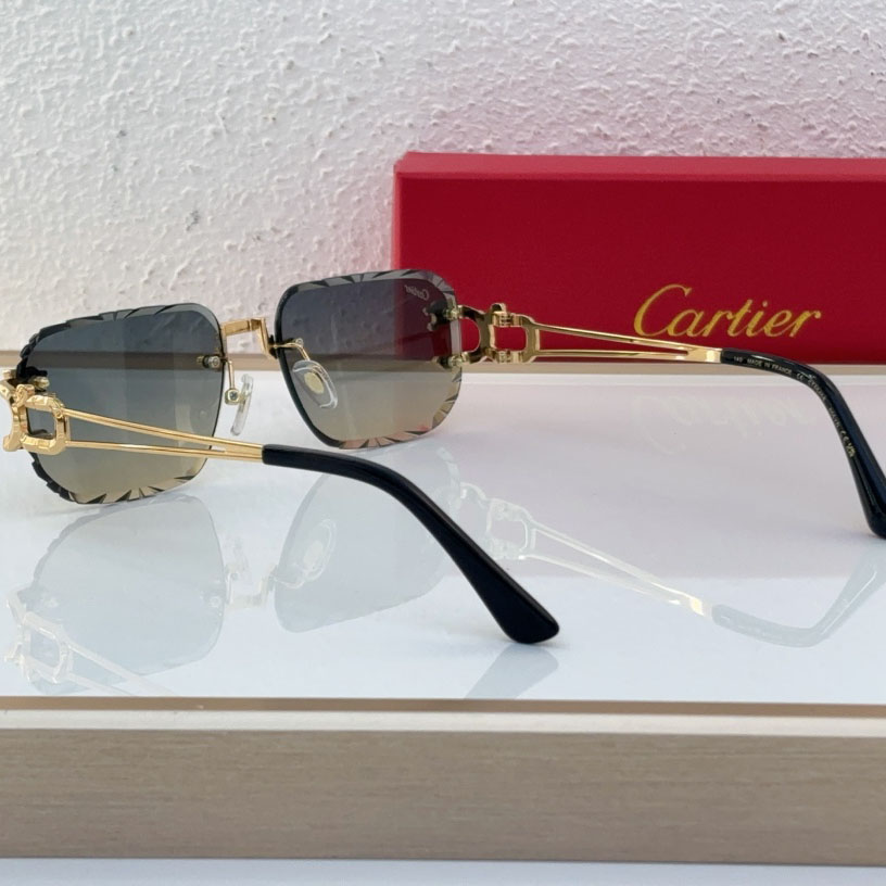 Cartier CT0540S Sunglasses - DopestKickz