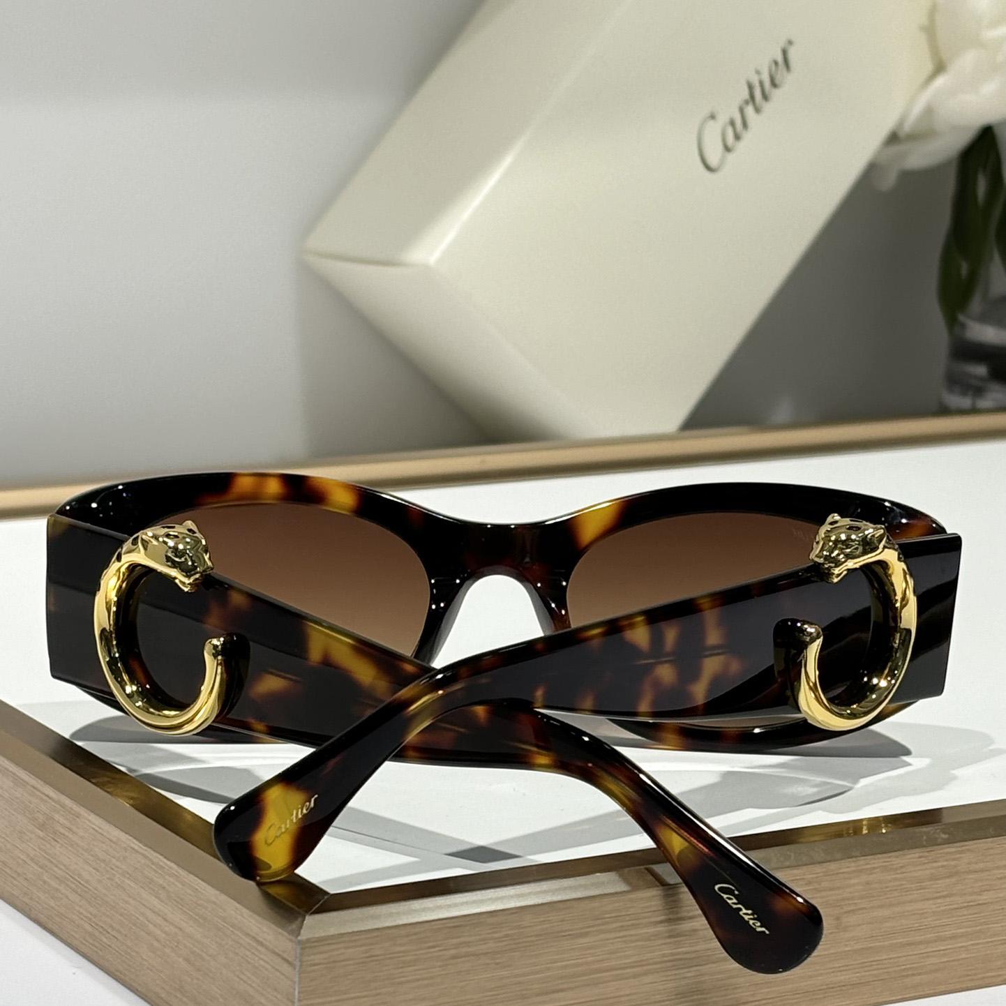 Cartier CT0472S Sunglasses    - DopestKickz