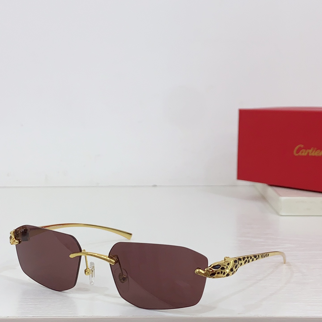 Cartier Geometric-frame Sunglasses   CT0474S - DopestKickz