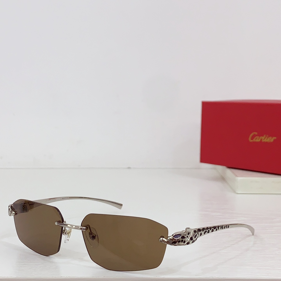 Cartier Geometric-frame Sunglasses   CT0474S - DopestKickz
