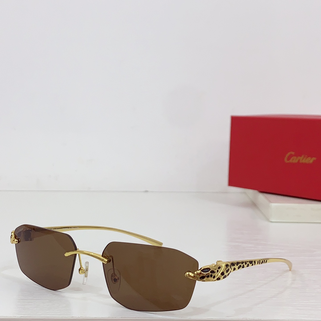 Cartier Geometric-frame Sunglasses   CT0474S - DopestKickz