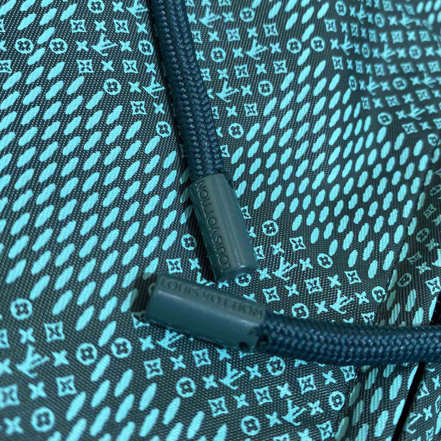 Louis Vuitton Printed Nylon Hooded Windbreaker  1AFQD4 - DopestKickz