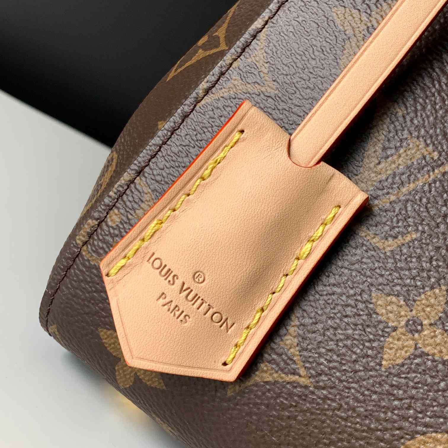 Louis Vuitton Cluny BB  M46372 - DopestKickz