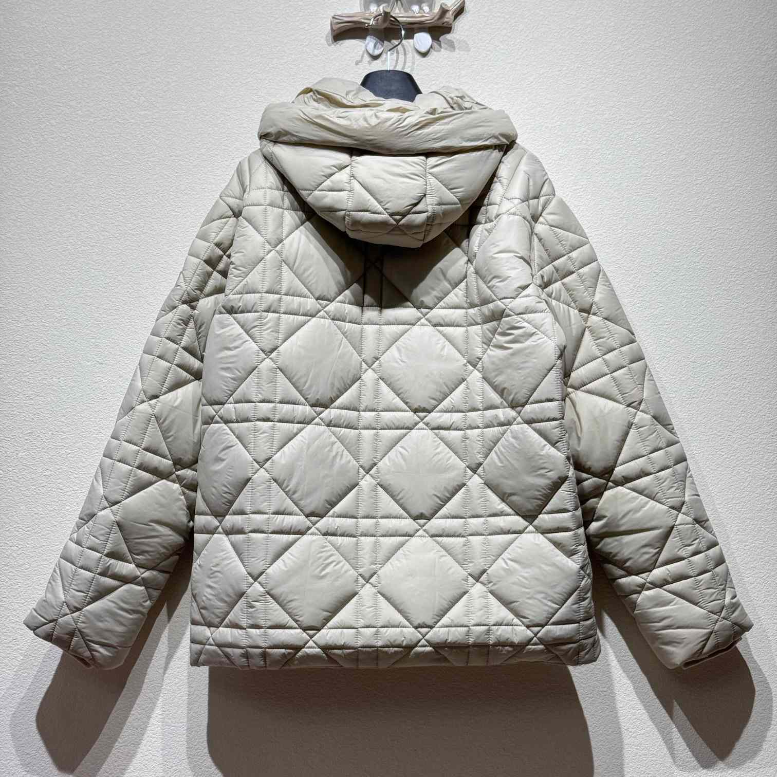 Dior Puffer Jacket - DopestKickz