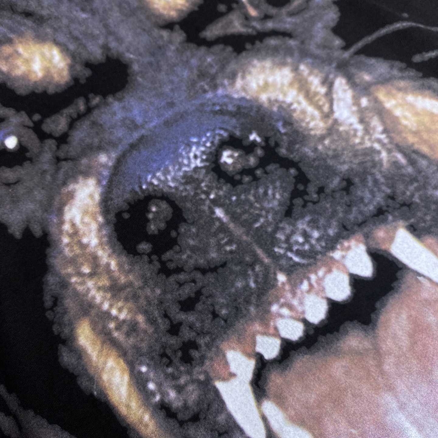 Givenchy Rottweiler Cotton Tee - DopestKickz