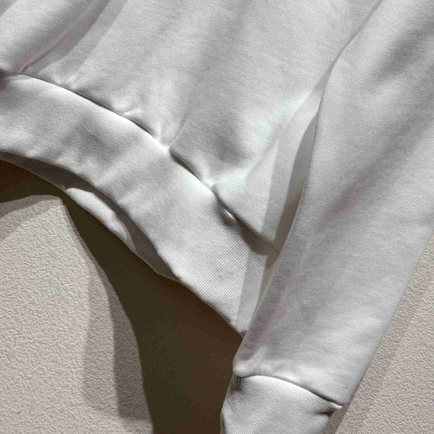 Dior And Lewis Hamilton Sweatshirt - DopestKickz