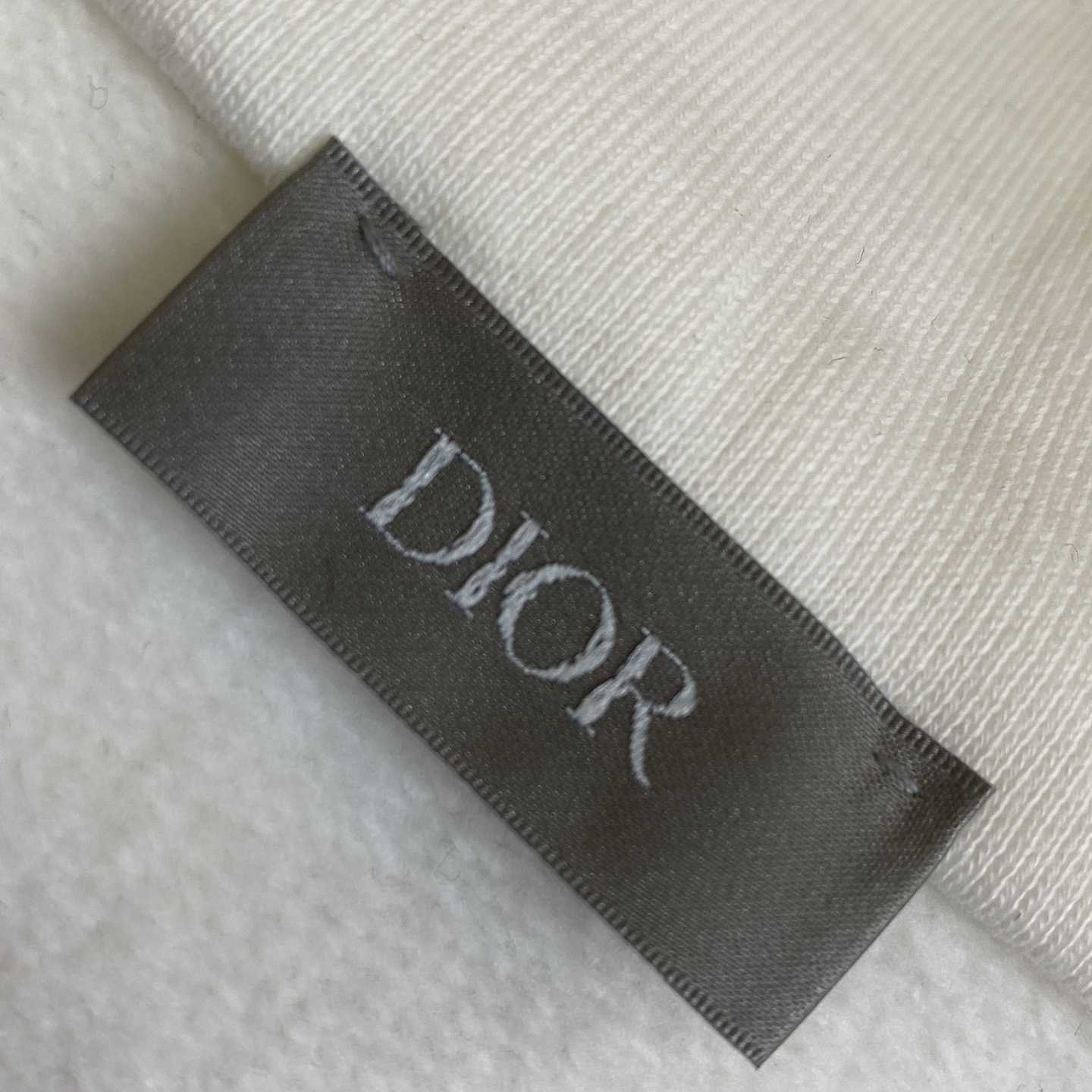 Dior CD Icon Half-Zip Sweatshirt   - DopestKickz