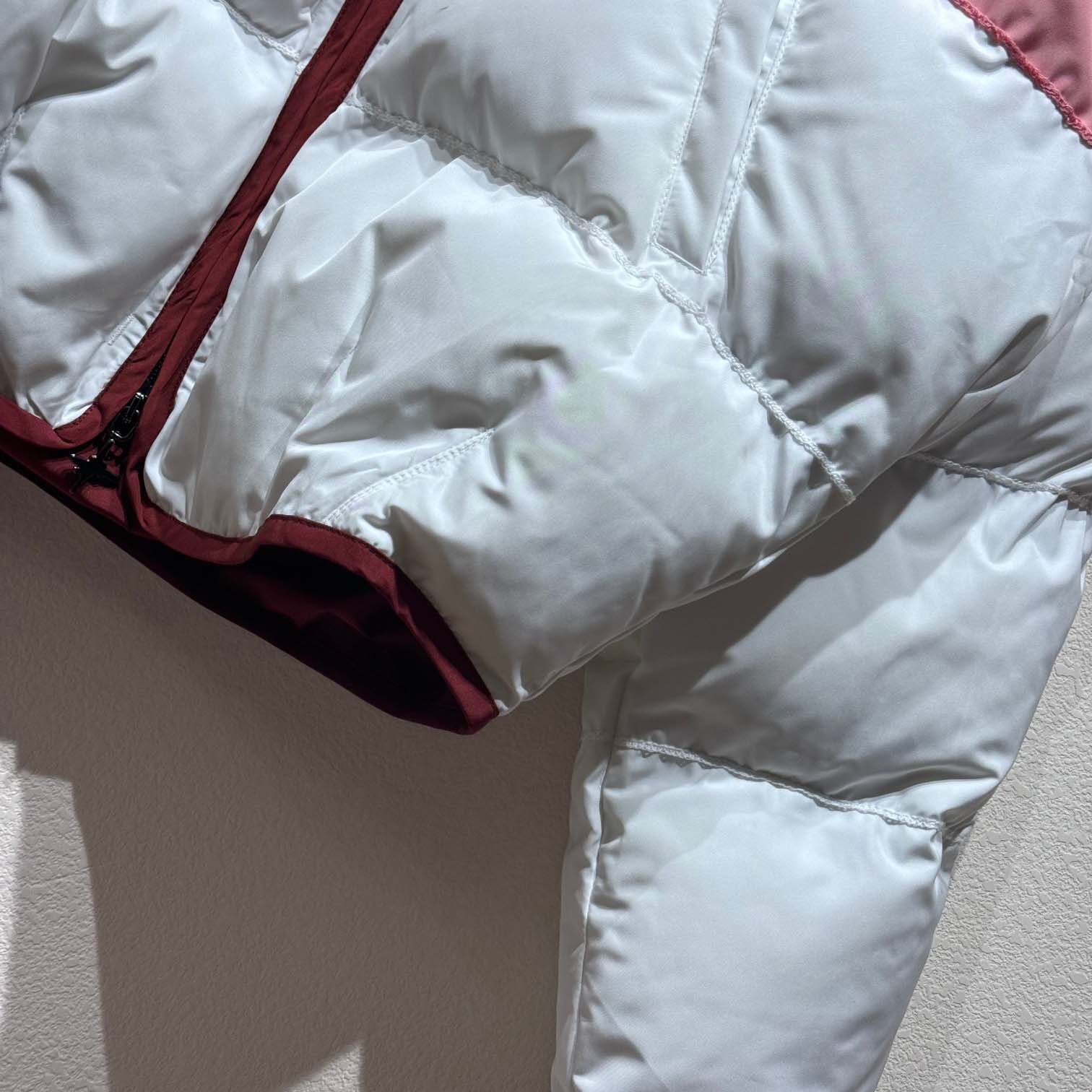 DIOR AND LEWIS HAMILTON Puffer Jacket With Removable Sleeves  - DopestKickz