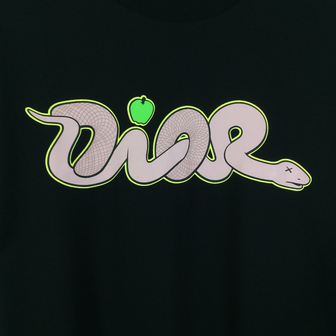 Dior Logo T-Shirt  - DopestKickz