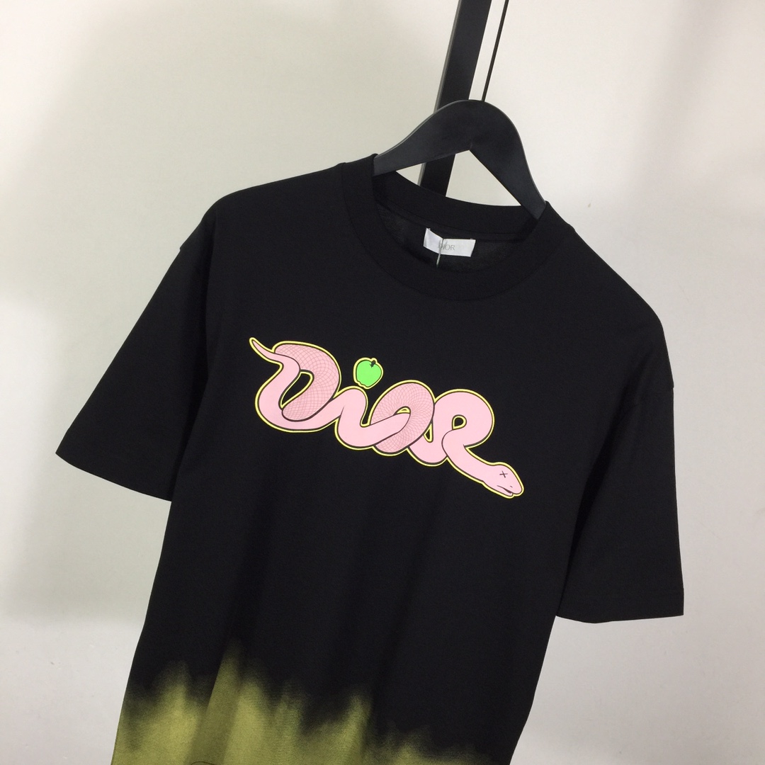 Dior Logo T-Shirt  - DopestKickz