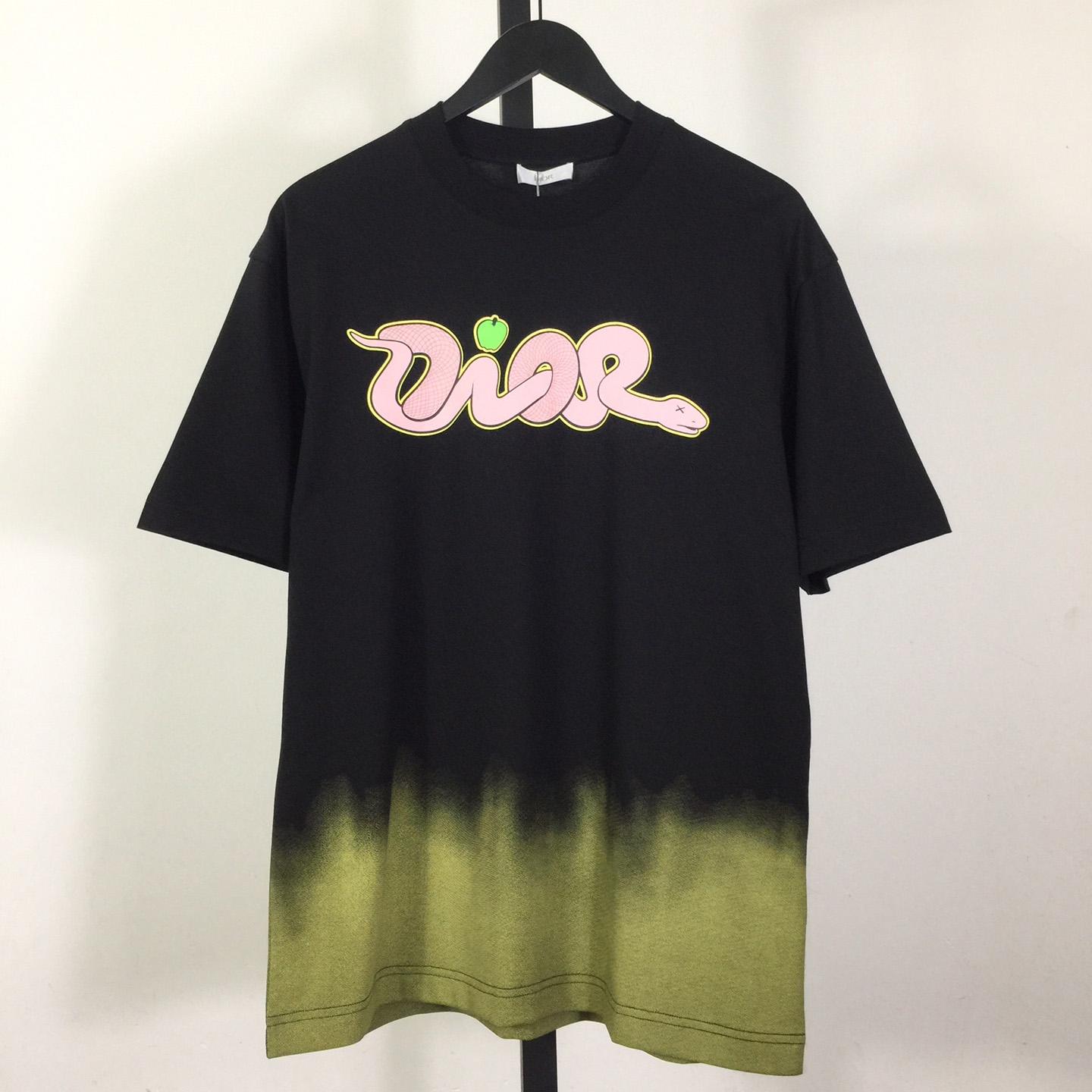 Dior Logo T-Shirt  - DopestKickz