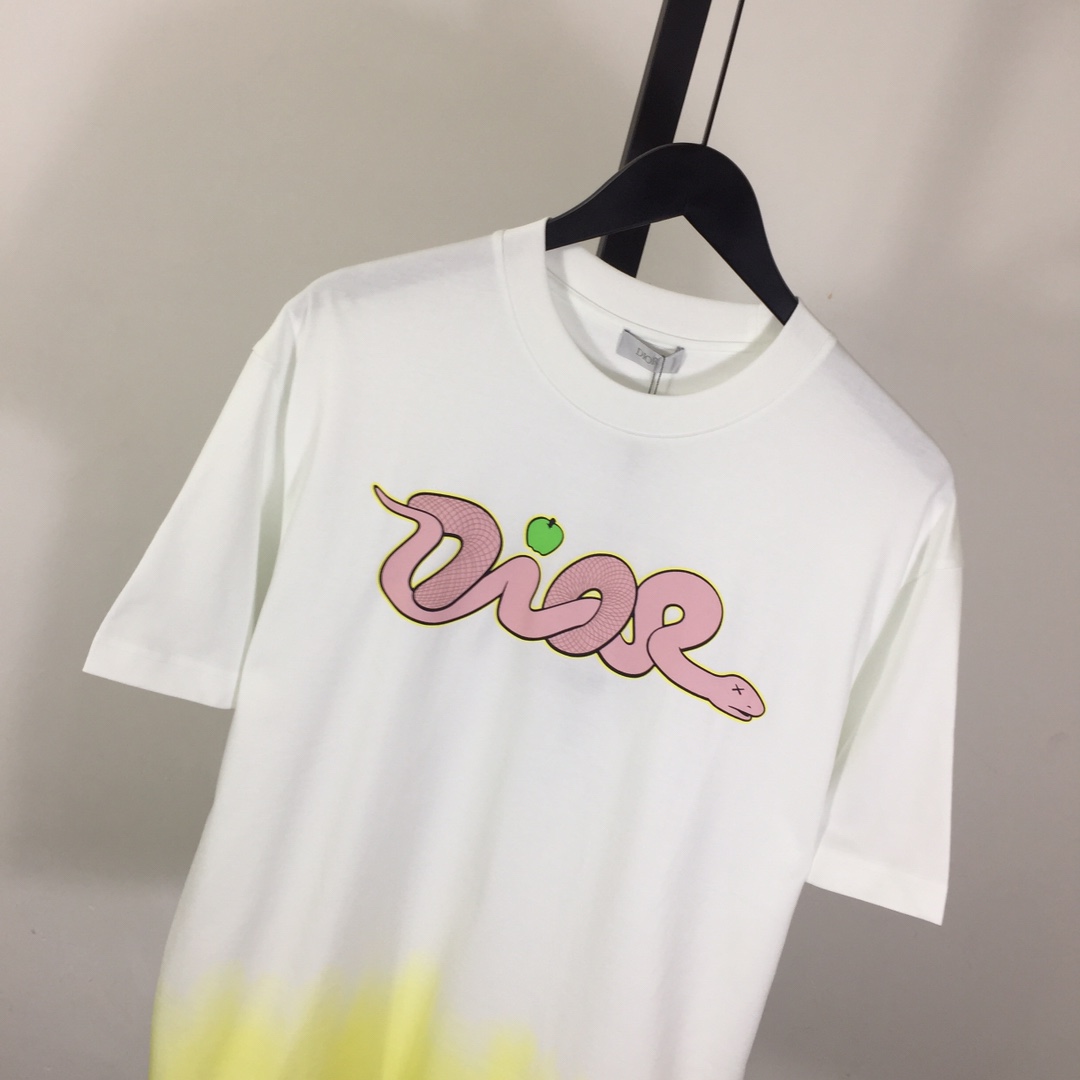 Dior Logo T-Shirt  - DopestKickz