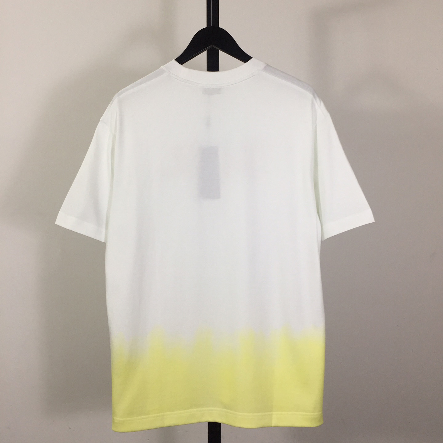 Dior Logo T-Shirt  - DopestKickz